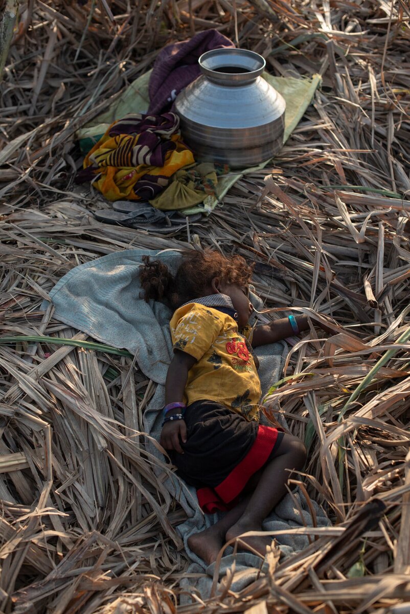 Девочка спит на плантации сахарного тростника.