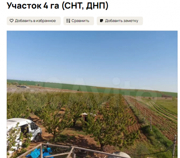 Участок 4 гектара за 6 млн руб. (15 тыс. руб. за сотку). Источник: avito.ru