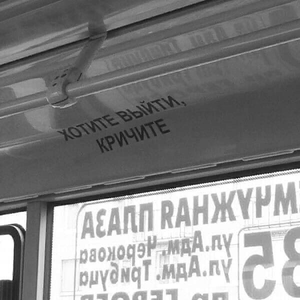 16 надписей, которые могут войти в историю своей неповторимой оригинальностью