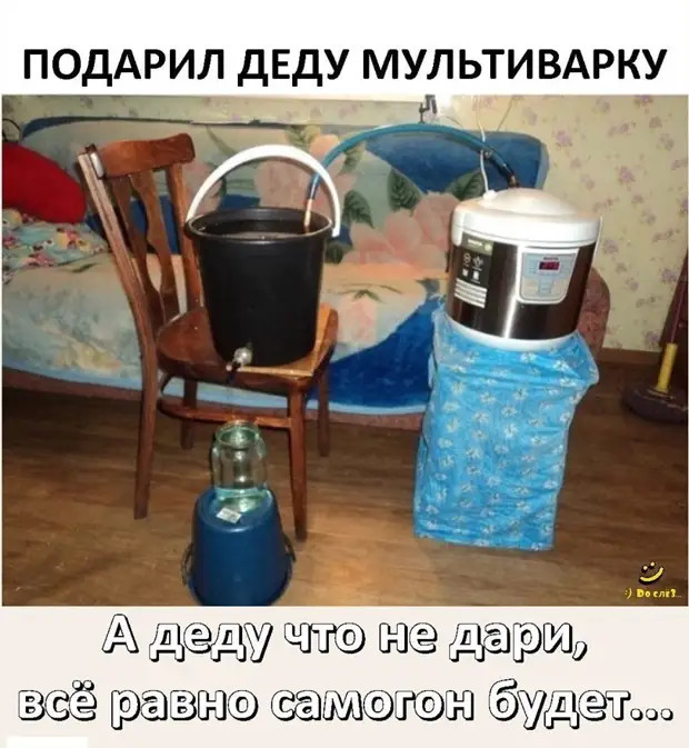 «Ещё один потерял голову от любви ко мне», — вздохнула самка богомола и нарисовала очередную звездочку на дереве 