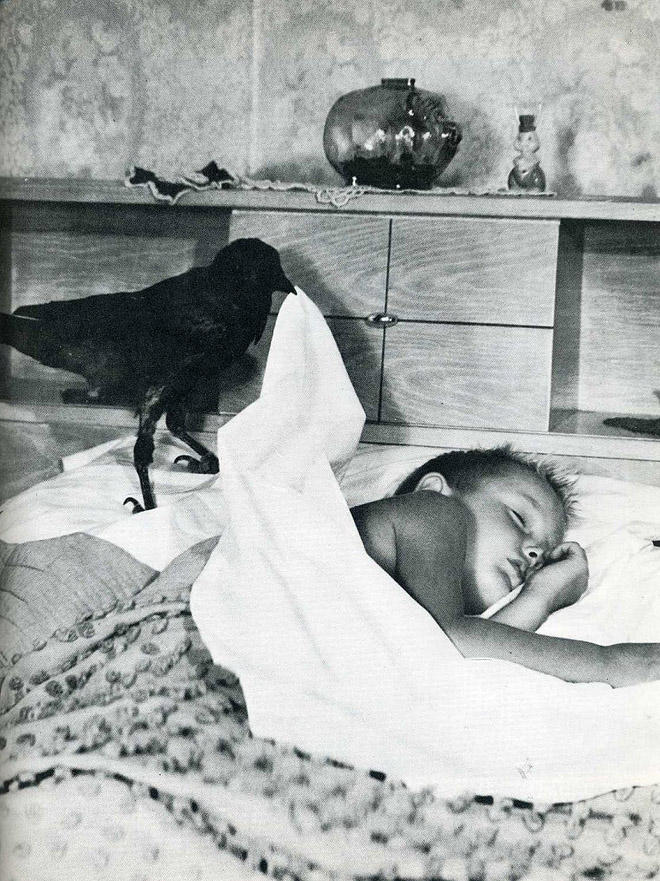 Лови момент истории: 35 самых удачных фото, украшавших журнал LIFE 