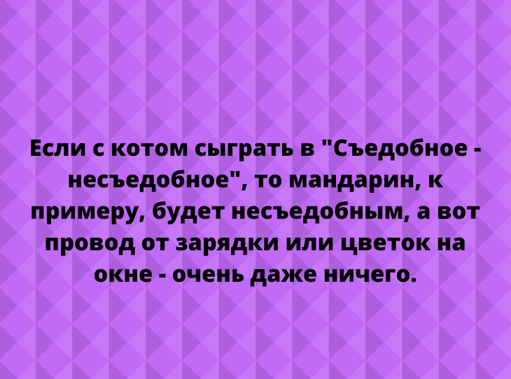 Анекдоты и шуточки: новая подборка позитивчика Анекдоты и шуточки: новая подборка позитивчика