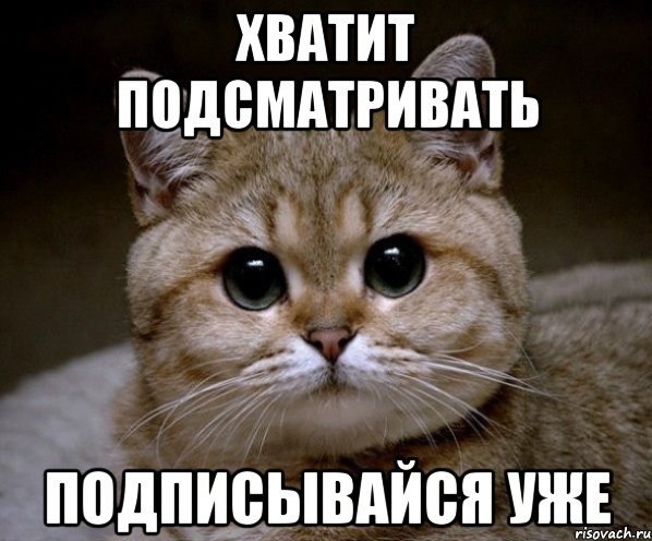 Прикольные картинки и фото с надписями со смыслом Прикольные картинки и фото с надписями со смыслом