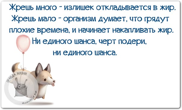 Прикольные незамысловатые фразочки в картинках 