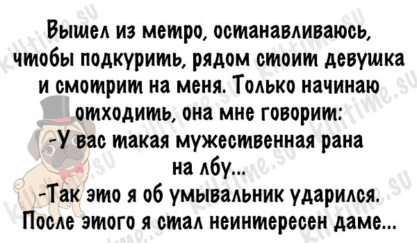 Смешные и жизненные истории от нашего мопса картинки