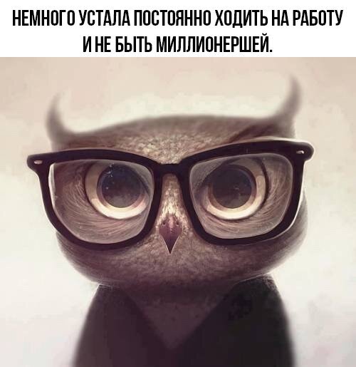 - Нехорошо быть человеку одному - сказал Бог, глядя как тот кайфует в раю, и создал человеку проблему под названием женщина недавно, совсем, подарки, какие, помните, Майонез, Сладкое, сухое, Оливье, против, праздничном, Красное, столе, Кажется, встречаем, февраль, Прекрасной, пятницы, отличных, белое