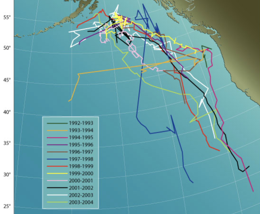 Карта миграции источника звука, который идентифицируют, как «пятидесятидвухгерцового кита» / Woods Hole Oceanographic Institution