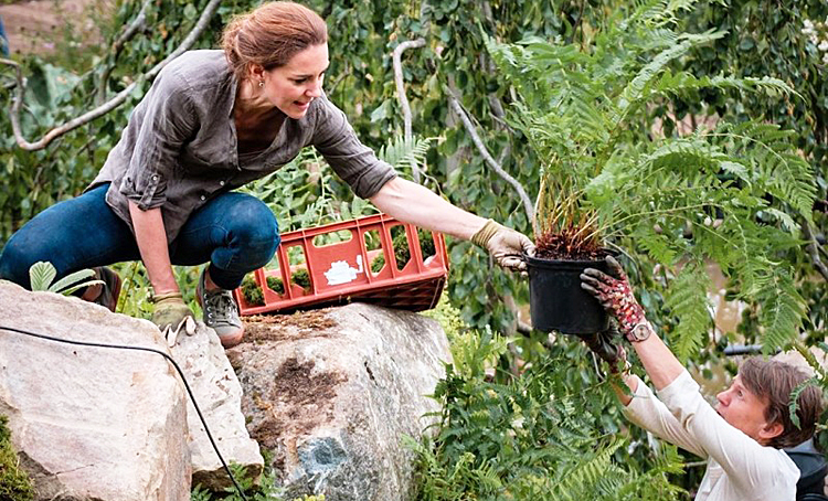 Кейт Миддлтон открыла онлайн-фестиваль цветов chelseaflowershow,Монархи,Британские монархи