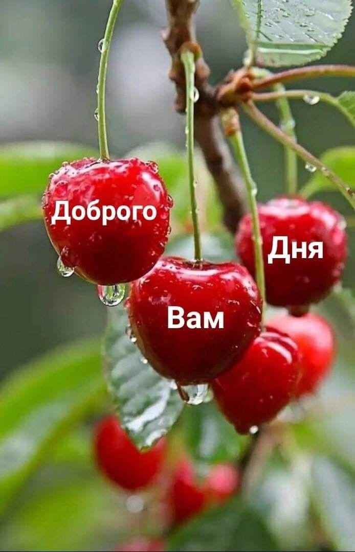 Лучшие шутки для вашего хорошего настроения