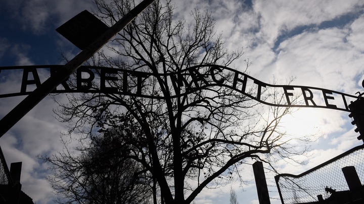 "Камер не было, все фото - фейк": Британские СМИ об освобождении Освенцима бойцами Красной армии