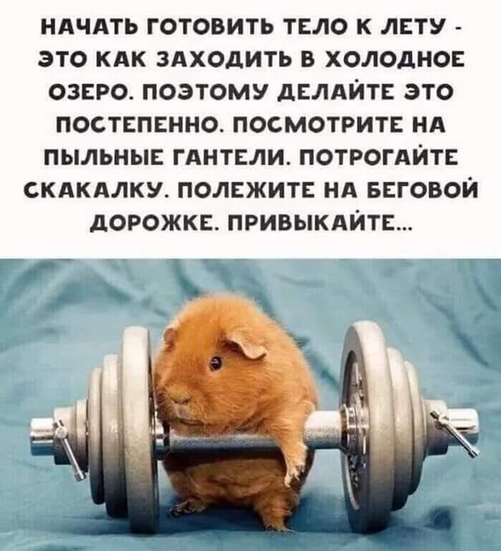 Юмор из интернета 706 Юмор из интернета 706 смех,улыбки,юмор