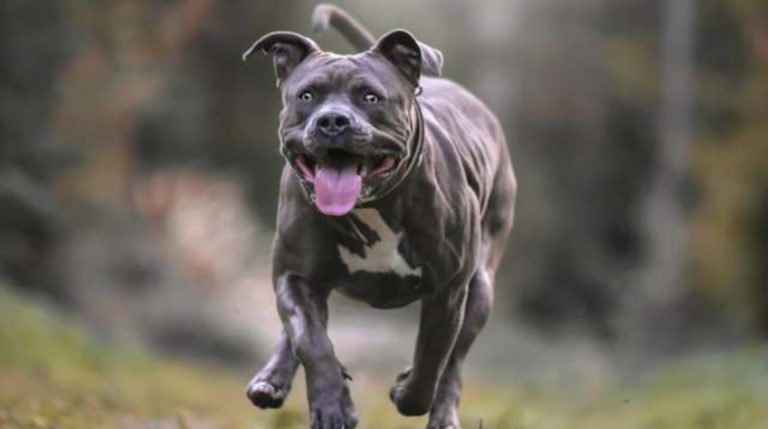 BeFunky-collage (18)