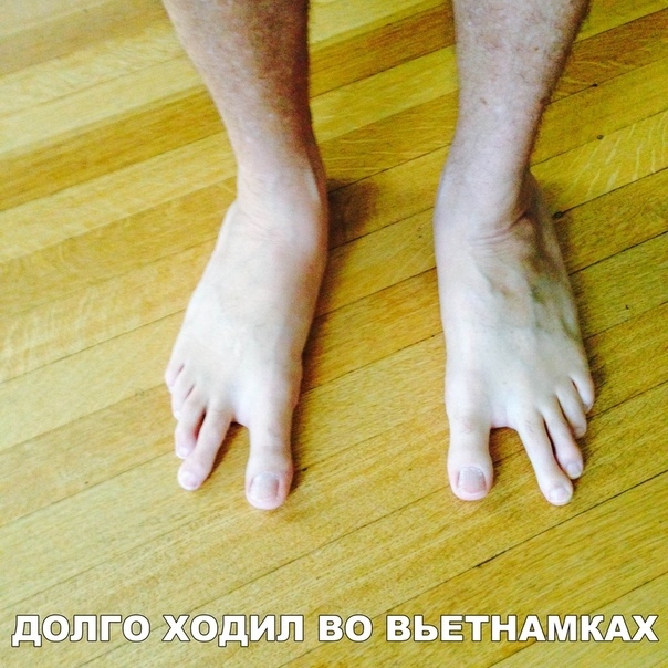 Подборка веселых и забавных фотографий с надписями из нашей жизни