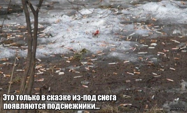 Весна уже близко или пока еще нет? Весна уже близко или пока еще нет?