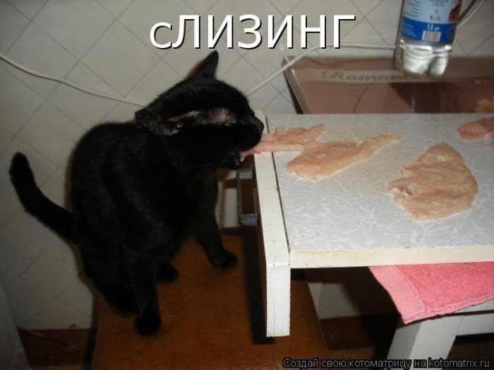 Мысли вслух :)