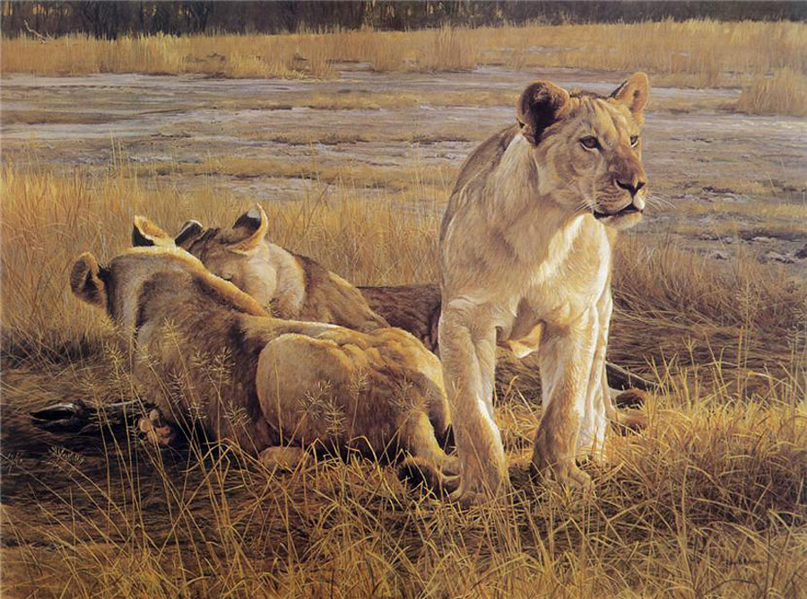 Robert Bateman_art_animals Robert Bateman_art_animals