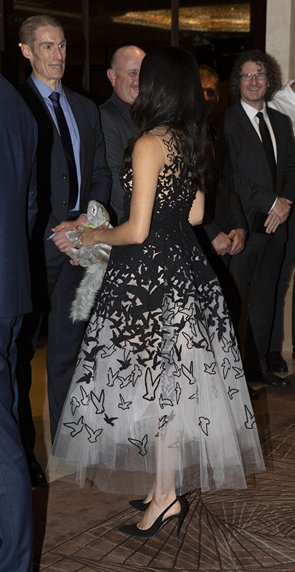 Меган Маркл в роскошном вечернем наряде и принц Гарри на церемонии вручения премий Australian Geographic в Сиднее монархии, меган маркл