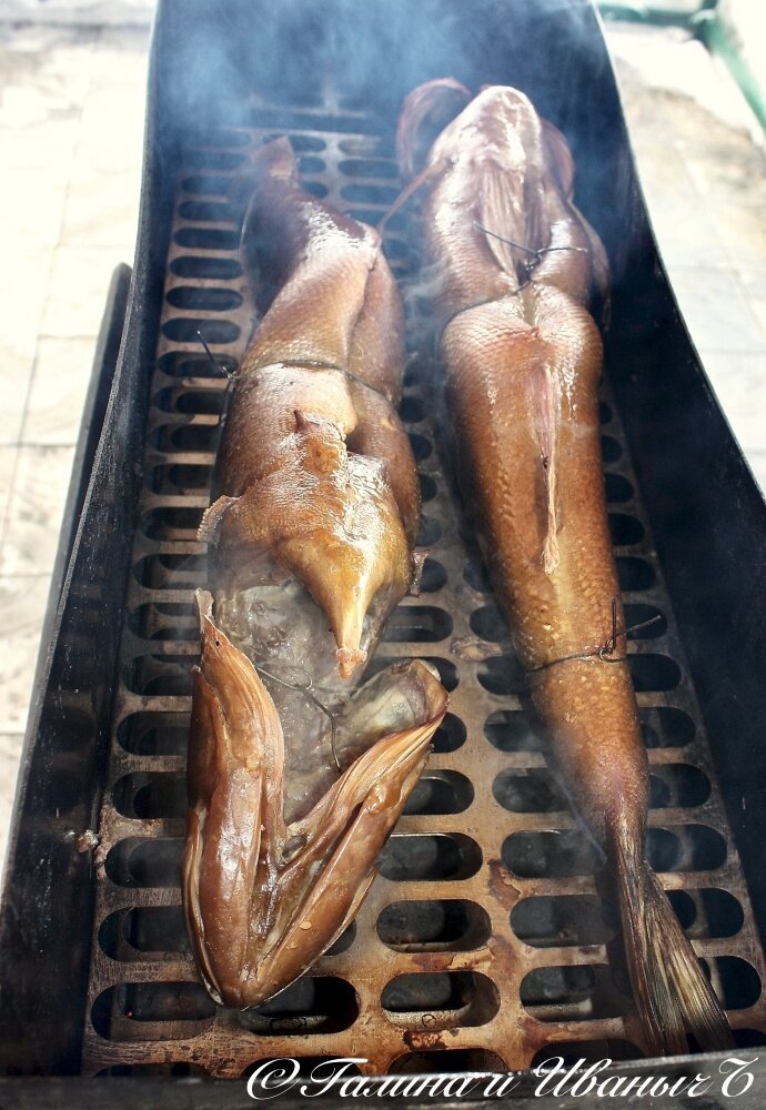Судаки копчёные Судаки копчёные