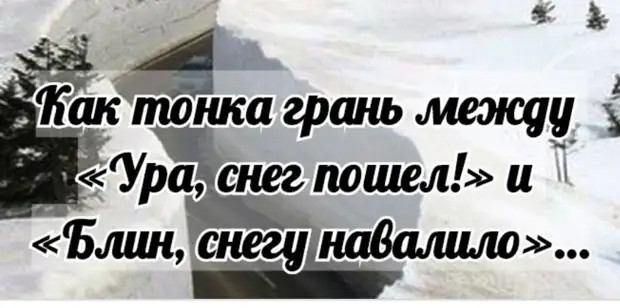 «Ещё один потерял голову от любви ко мне», — вздохнула самка богомола и нарисовала очередную звездочку на дереве 