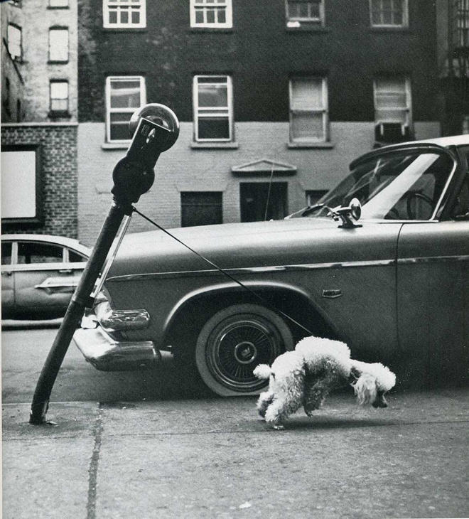 Лови момент истории: 35 самых удачных фото, украшавших журнал LIFE 