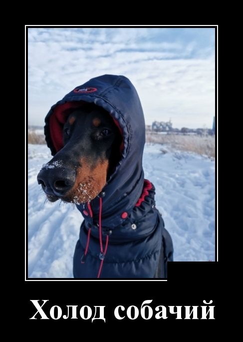 Подборка веселых и жизненных демотиваторов для пятничного настроения демотиваторы свежие,приколы,смешные демотиваторы,юмор