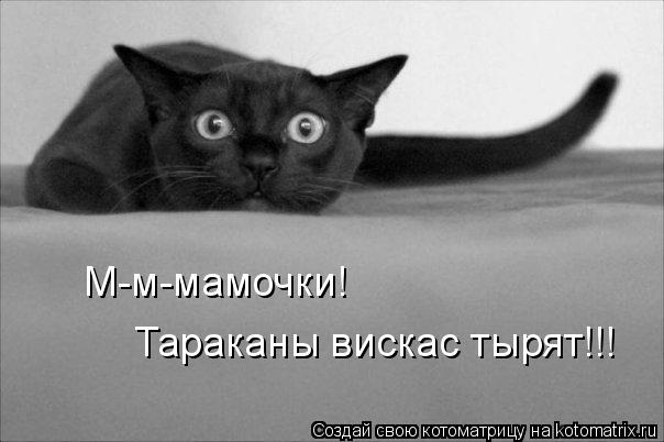Мысли вслух :)