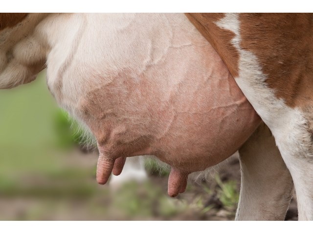 Онкология и «импортозамещение»: РФ вывозит здоровое питание, а ввозит — яд россия