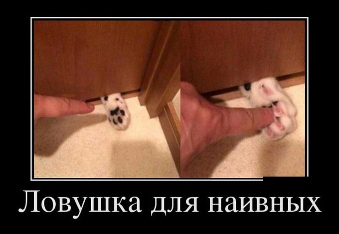 Подборка интересных и веселых картинок №55 Подборка интересных и веселых картинок №55 отдых