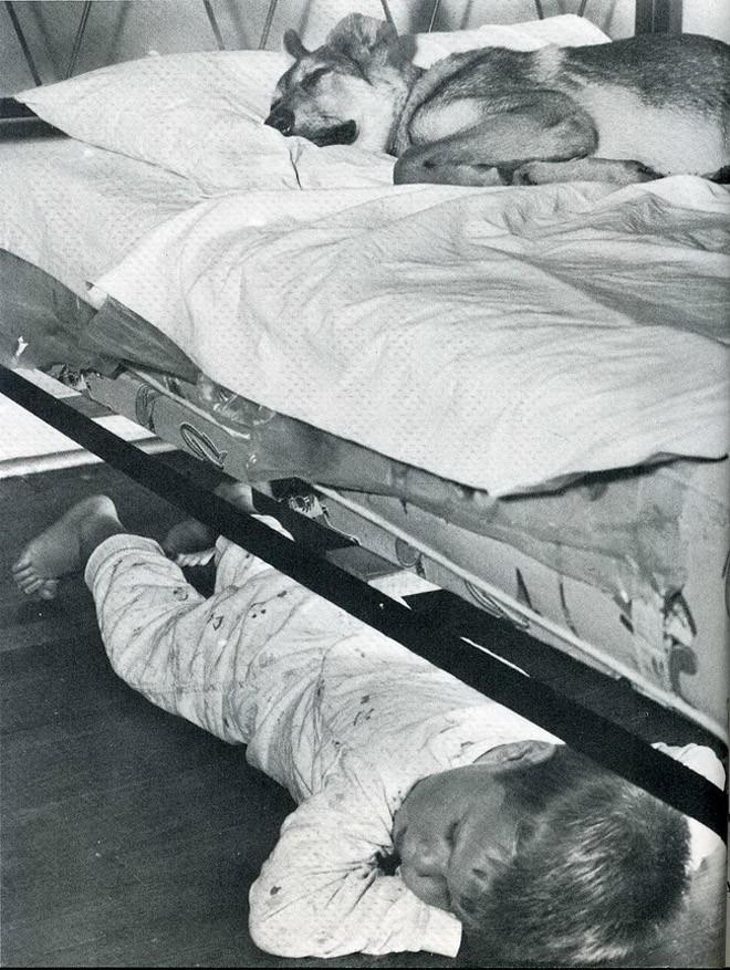 Лови момент истории: 35 самых удачных фото, украшавших журнал LIFE 