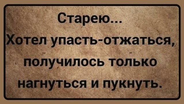 Культурный человек никогда не обзовет вас «пид... ом». Он скажет: — Вам вполне можно выступать на Евровидении! демотиваторы