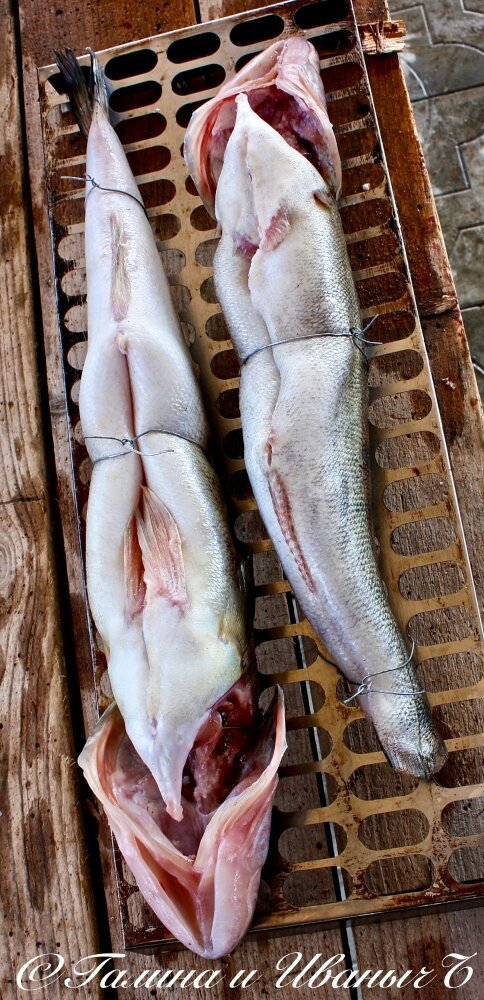 Судаки копчёные Судаки копчёные