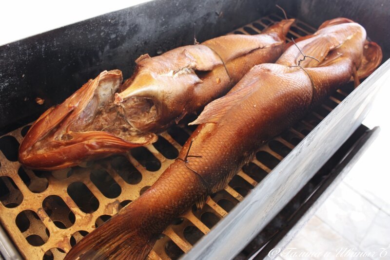 Судаки копчёные Судаки копчёные