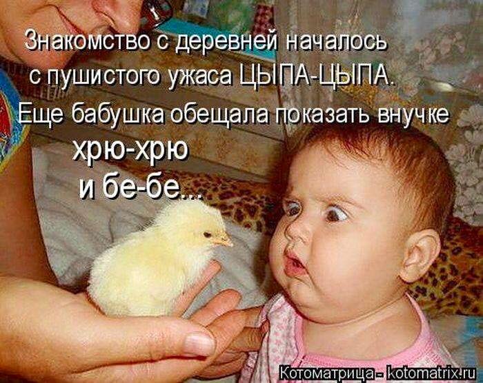 Свежая порция удовольствия: 20 отличных анекдотов, шуток, приятностей и забавностей в картинках Свежая порция удовольствия: 20 отличных анекдотов, шуток, приятностей и забавностей в картинках