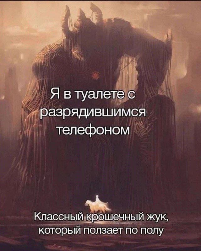 Интернет мемы в субботу и малина 