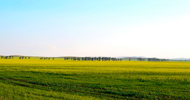 кулудинская степь