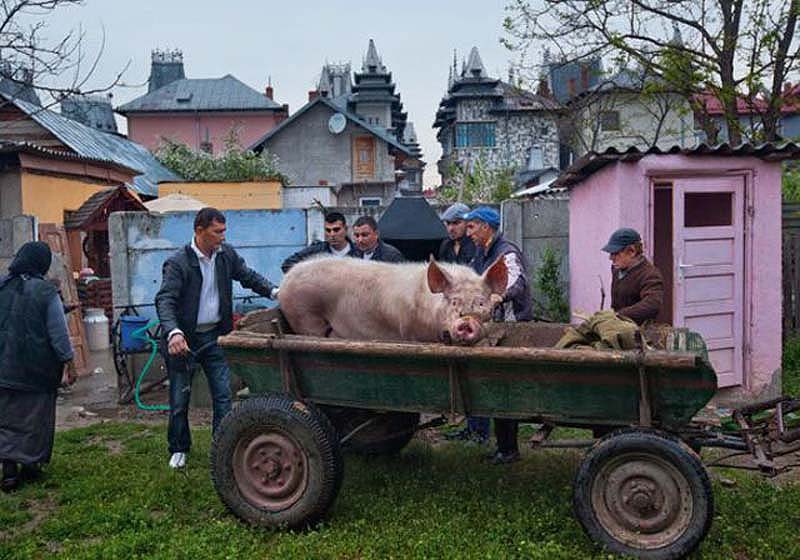 Бузеску — столица цыган-миллионеров