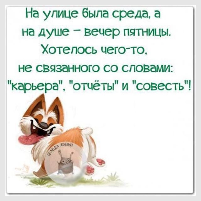 Порция яркого юмора: 19 лучших анекдотов и шуток в картинках 