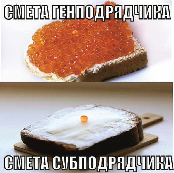 Пто смешные картинки