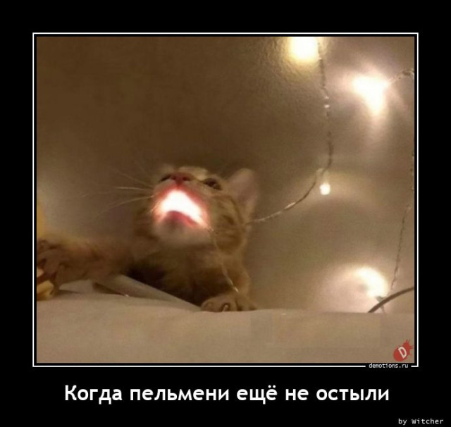 Демотиваторы на любой вкус: «Когда пельмени ещё не остыли»