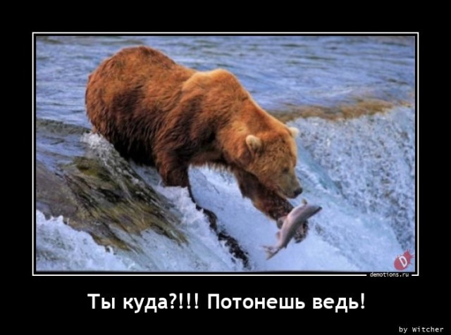 Свежий сборник прикольных демотиваторов: «С добрым утром!»  