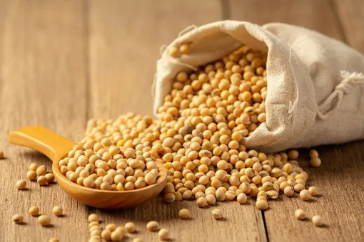 Куркума, соя и водоросли против старения: 5 продуктов японской кухни с доказанным антивозрастным действием Куркума, соя и водоросли против старения: 5 продуктов японской кухни с доказанным антивозрастным действием просто, воспаление, активируют, Японии, картофель, только, старения, рациона, снижают, защищают, которые, кухня, самых, Окинаве, продукты, наука, уменьшают, продуктов, митохондрии, запускают