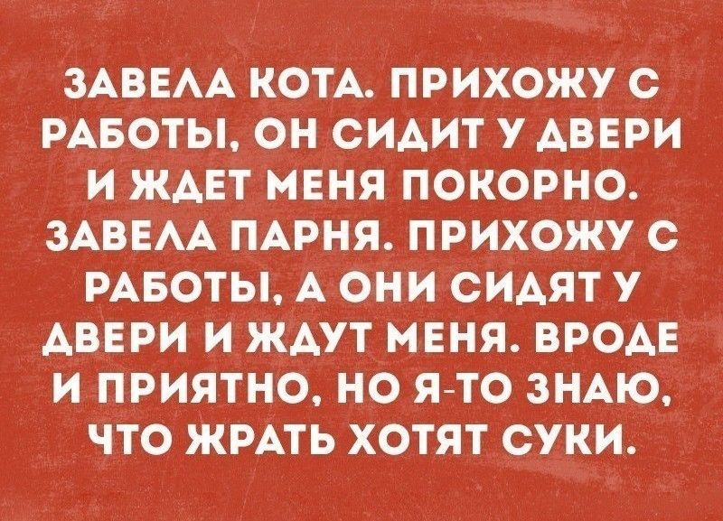 Если рядом с вами кто-то противно храпит, аккуратно поверните его голову до щелчка и спите спокойно анекдоты,веселые картинки,приколы,Хохмы-байки,юмор