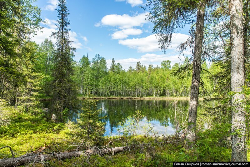 Заповедная Карелия. Паанаярви. Астерваярвская тропа путешествия, факты, фото