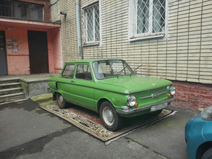 Культ ковров