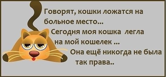 Назвался груздем – сожрут под водку Назвался груздем – сожрут под водку анекдоты,демотиваторы,приколы,Смешные животные,юмор
