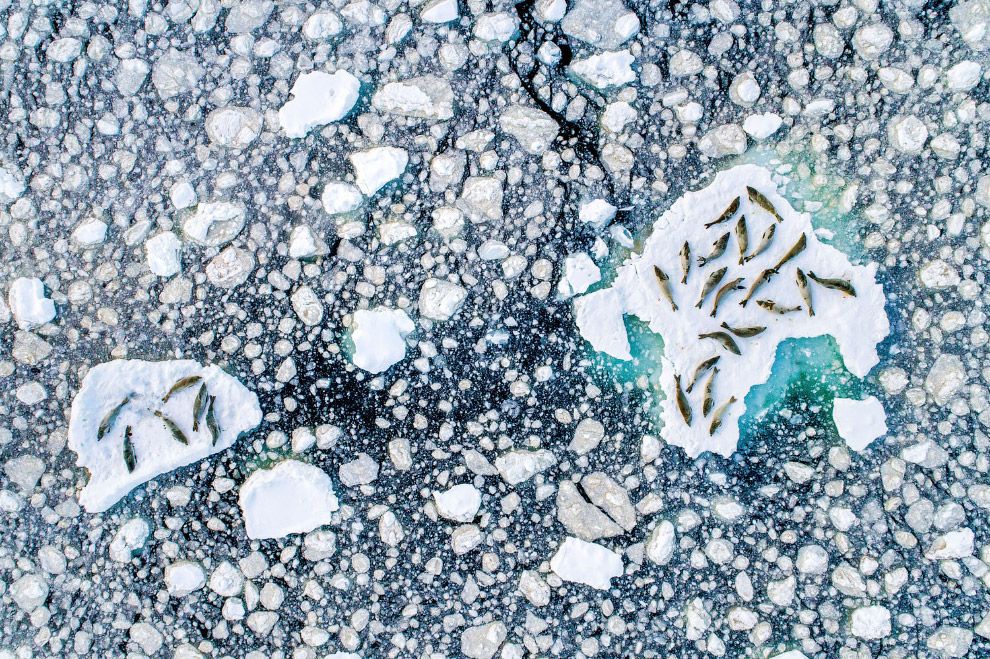 Конкурс фотографий National Geographic Travel Photographer 2019 Конкурс фотографий National Geographic Travel Photographer 2019 Путешествия,фото