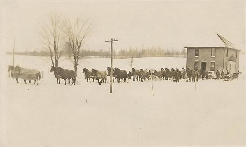 Фотография с открытки 1909 года: 24 лошади перемещают дом в американском регионе Верхний Средний Запад 19 век, животные, интересное, исторические фото, история, лошади, фото