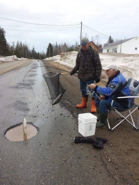 Прикольные и классные фотографии для поднятия пятничного настроения красивые девушки,красивые фотографии,милые девушки,приколы,угарные фотки,шикарные фотографии,юмор