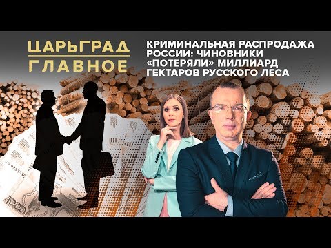 Криминальная распродажа России: чиновники «потеряли» миллиард гектаров русского леса