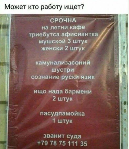 Смешные объявления и вывески 